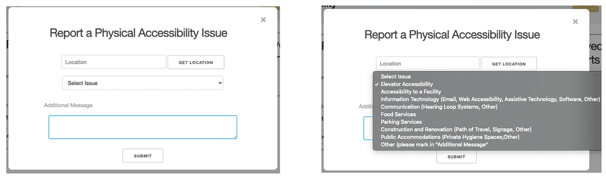 Report form with issue type dropdown